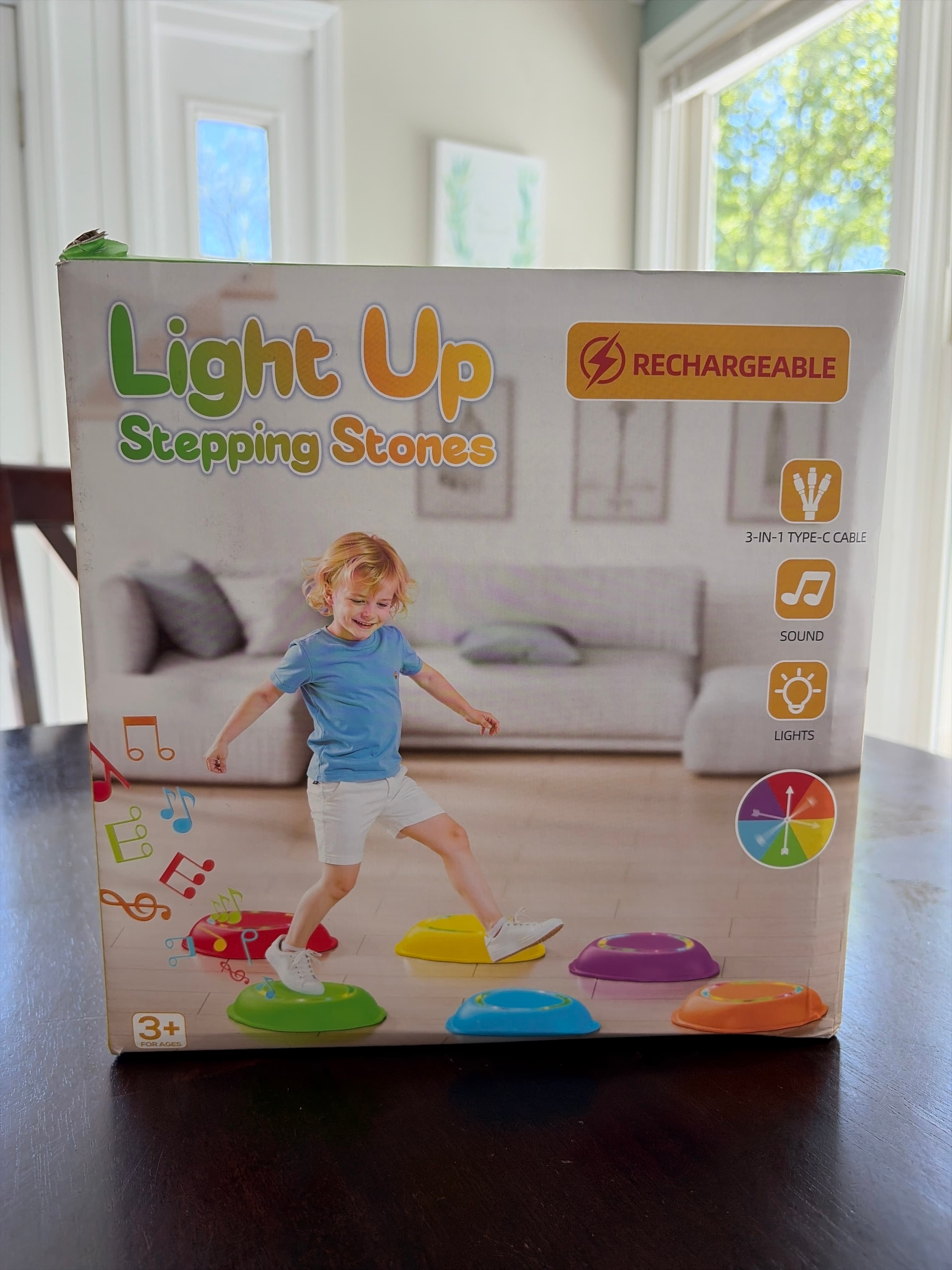 Light Up Stepping Stones 