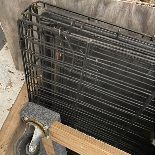 Large dog crate